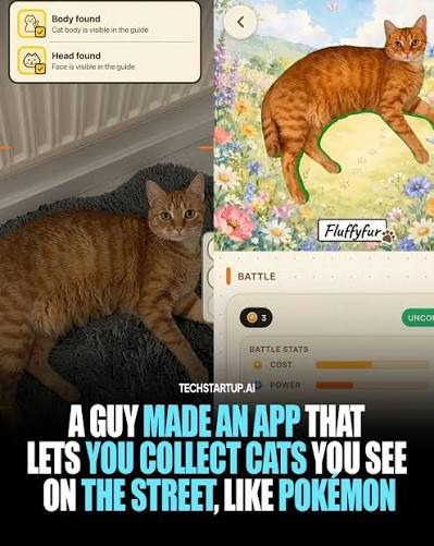A guy made an app that lets you collect cats you see on the street, like Pokémon